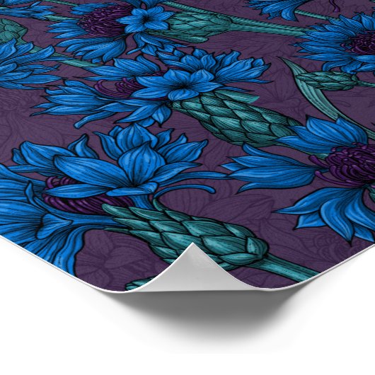 Blaue Maisblumen, wilde Blume Poster (Ecke)