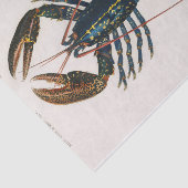 Blaue Meeresraube Seidenpapier (Ausschnitt)