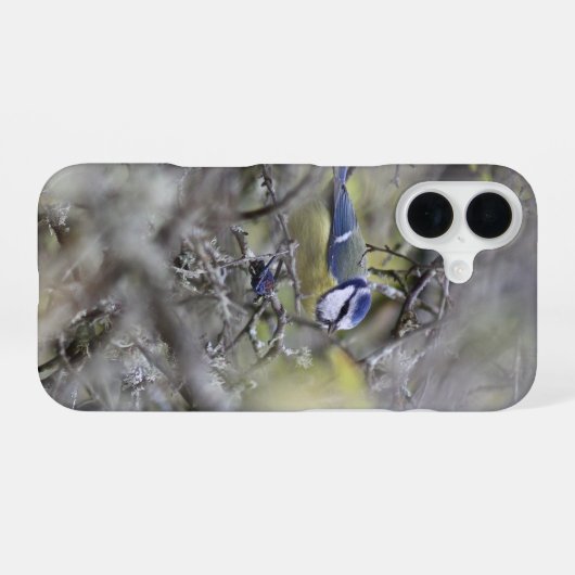 Blaue Meise iPhone 16 Hülle (Rückseite (Horizontal))