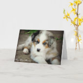 Blaue Merle australische Schäfer-Gruß-Karte Karte (Gelbe Blume)