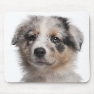 Blaue Merle australische Schäfer-Welpennahaufnahm Mousepad