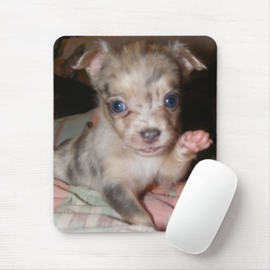 Blaue Merle Chihuahua 1 Mousepad (Mit Mouse)