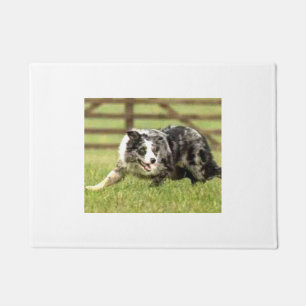 Blaue Merle Grenze Collie~Joe~Doormat Fußmatte