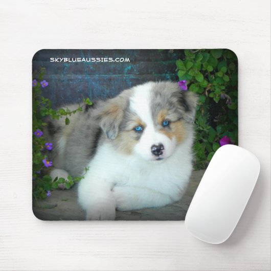 Blaue Merle Welpen-Mausunterlage Mousepad (Mit Mouse)