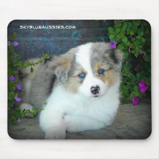 Blaue Merle Welpen-Mausunterlage Mousepad (Vorne)