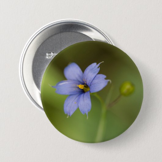 Blaue mit Augen Gras-Wildblume-Blumenknopf Button (Vorne & Hinten)