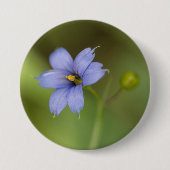 Blaue mit Augen Gras-Wildblume-Blumenknopf Button (Vorderseite)