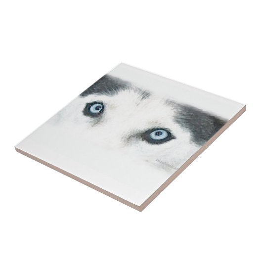 Blaue mit Augen Hunde können den Wind sehen Fliese (Seite)