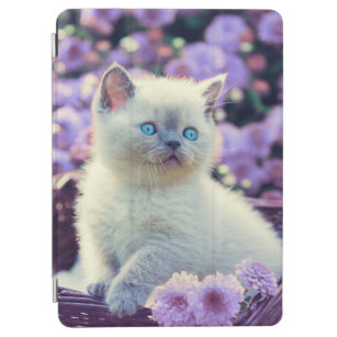 Blaue Mit Augen Kätzchen im Korb mit Lilac-Blume iPad Air Hülle