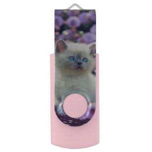 Blaue Mit Augen Kätzchen im Korb mit Lilac-Blume USB Stick