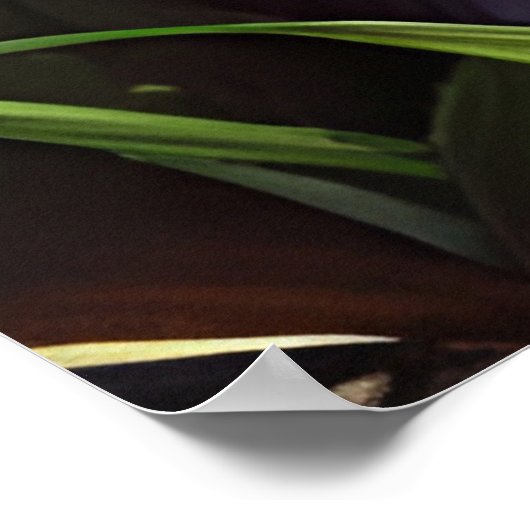 Blaue Mit Augen Katze im Wald Poster (Ecke)