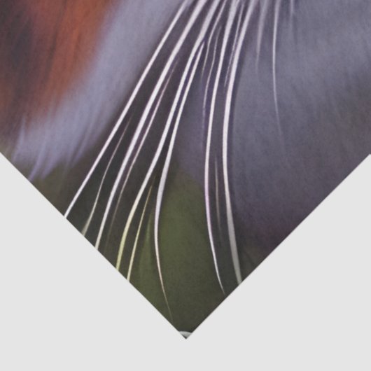 Blaue Mit Augen Katze im Wald Seidenpapier (Ausschnitt)