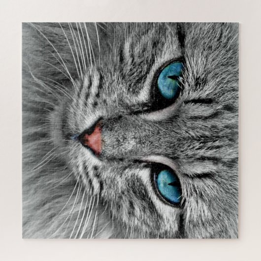 Blaue Mit Augen Katze - Puzzle (Horizontal)