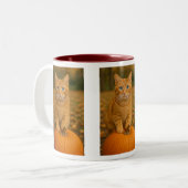 Blaue mit Augen Katze Zweifarbige Tasse (Vorderseite Links)