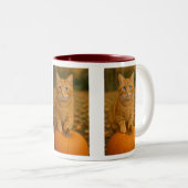 Blaue mit Augen Katze Zweifarbige Tasse (VorderseiteRechts)