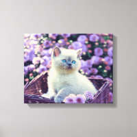Blaue Mit Augen Katzenkatze im Korb mit violetten 