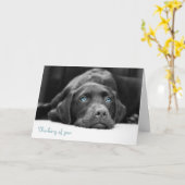 Blaue Mit Augen Labrador Schwarz-Weiß-Fotokarten Karte (Gelbe Blume)
