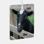 Blaue Mit Augen Nigerianische Zwergziege Ornament Aus Metall (Vorderseite Rechts)