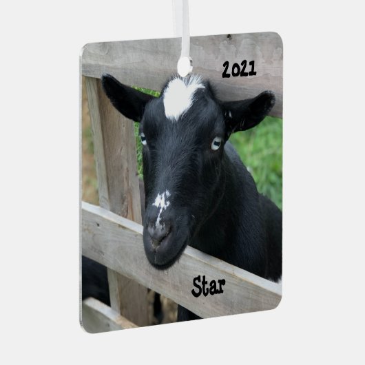 Blaue Mit Augen Nigerianische Zwergziege Ornament Aus Metall (Vorderseite Rechts)