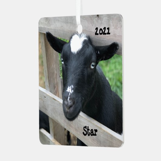 Blaue Mit Augen Nigerianische Zwergziege Ornament Aus Metall (Vorderseite links)