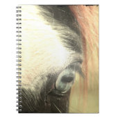 Blaue Mit Augen Pferderasse Notizblock (Vorderseite)