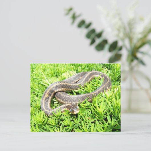 Blaue mit Augen Schlange ~ Postkarte (Stehend Vorderseite)