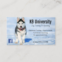 Blaue Mit Augen sibirische Husky-Hundeschulung/Bod