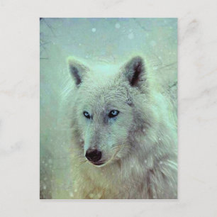 Blaue Mit Augen Wolf-Malerei Postkarte