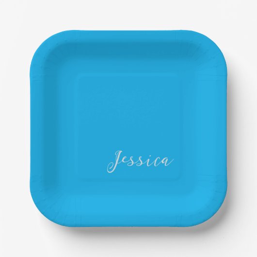 Blaue moderne elegante einfache professionelle Nam Pappteller (Vorderseite)
