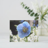 Blaue Mohnblumen-Himalajapostkarte Postkarte (Stehend Vorderseite)