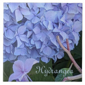 Blaue Mophead-Hortensienblüte Floral Fliese (Vorderseite)
