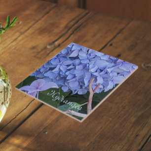 Blaue Mophead-Hortensienblüte Floral Fliese