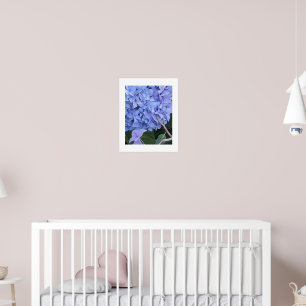 Blaue Mophead-Hortensienblüte Floral Poster