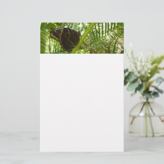 Blaue Morpho Butterfly Naturfotografie Briefpapier (Stehend Vorderseite)