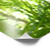 Blaue Morpho Butterfly Naturfotografie Fotodruck (Ecke)