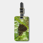 Blaue Morpho Butterfly Naturfotografie Gepäckanhänger (Vorderseite vertikal)