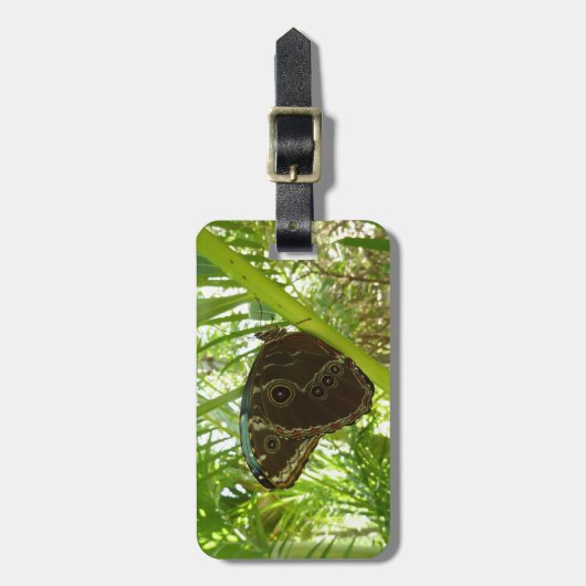 Blaue Morpho Butterfly Naturfotografie Gepäckanhänger (Vorderseite vertikal)