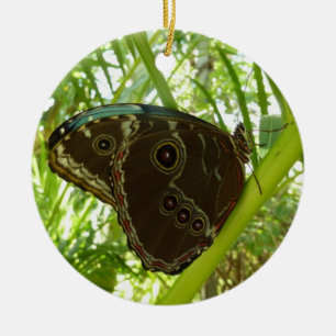 Blaue Morpho Butterfly Naturfotografie Keramikornament