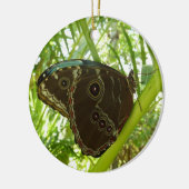 Blaue Morpho Butterfly Naturfotografie Keramikornament (Links)