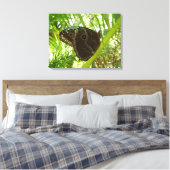 Blaue Morpho Butterfly Naturfotografie Leinwanddruck (Insitu (Schlafzimmer))