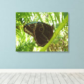 Blaue Morpho Butterfly Naturfotografie Leinwanddruck (Insitu (Holzboden))