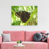 Blaue Morpho Butterfly Naturfotografie Leinwanddruck (Insitu (Wohnzimmer))