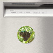 Blaue Morpho Butterfly Naturfotografie Magnet (In Situ (Geschirrspüler))