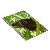 Blaue Morpho Butterfly Naturfotografie Notizblock (Rechte Seite)