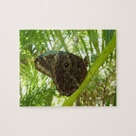 Blaue Morpho Butterfly Naturfotografie Puzzle