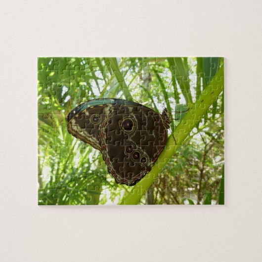 Blaue Morpho Butterfly Naturfotografie Puzzle (Horizontal)
