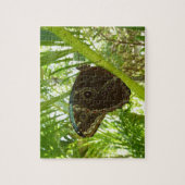 Blaue Morpho Butterfly Naturfotografie Puzzle (Vertikal)