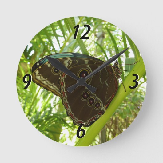 Blaue Morpho Butterfly Naturfotografie Runde Wanduhr (Vorderseite)
