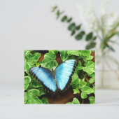Blaue Morpho Postkarte (Stehend Vorderseite)
