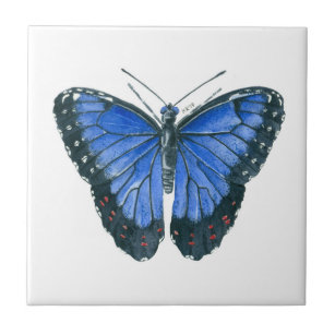 Blaue Morpho-Schmetterling-Aquarellmalerei Fliese